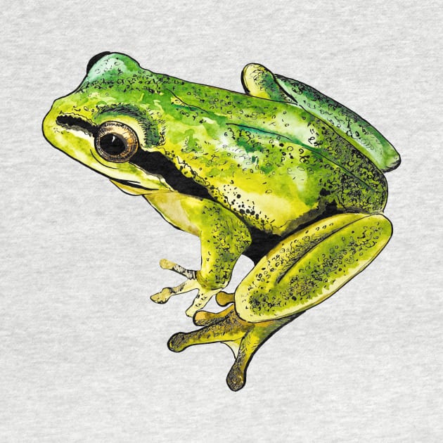 green frog by VicaVeresk